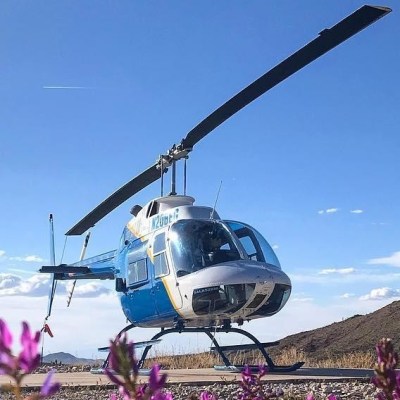 Image of Helicopter sitting on Pad with wild flowers in front
